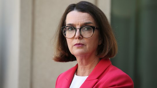 Social Services Minister Anne Ruston is pursuing the summit to set new goals to prevent violence against women.