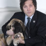Far-right libertarian and his five cloned dogs vie for Argentina’s presidential palace