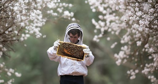 Queensland’s beekeepers will be able to stay working in national parks for an additional 20 years because drought and bushfires have stopped alternative hives being found threatening pollination.
