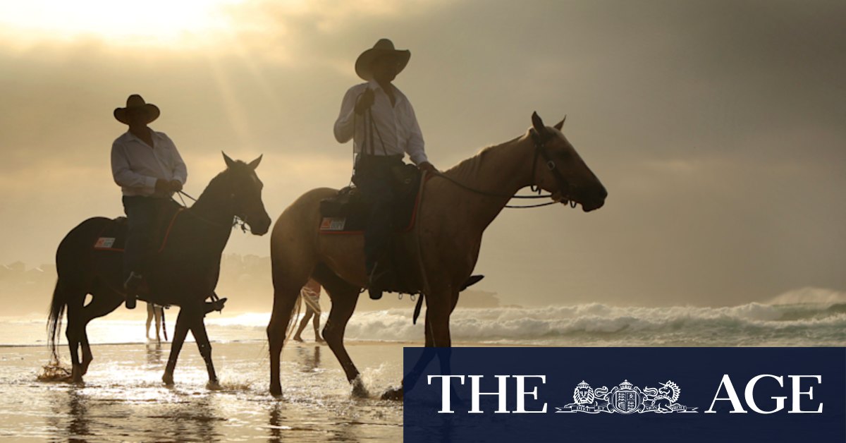 Surviving life in the bush: When the storms come, pull your hat low and set your horse free - Vimarsana News