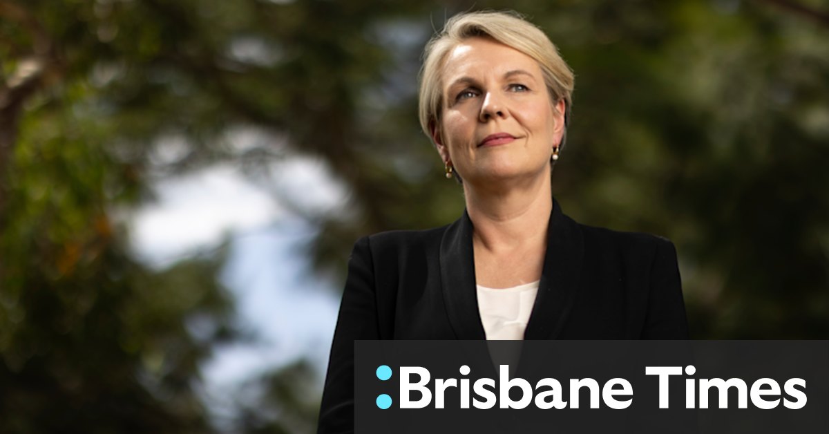 Tanya Plibersek on 2019 leadership contest: "If I had run, I would have won" - Vimarsana News