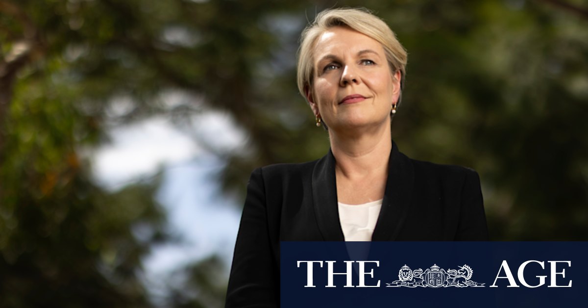 Tanya Plibersek on 2019 leadership contest: "If I had run, I would have won" - Vimarsana News
