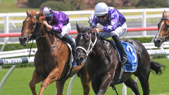 Son of a gun: Hugh Bowman rides Accession to victory in the Inglis Nursery.