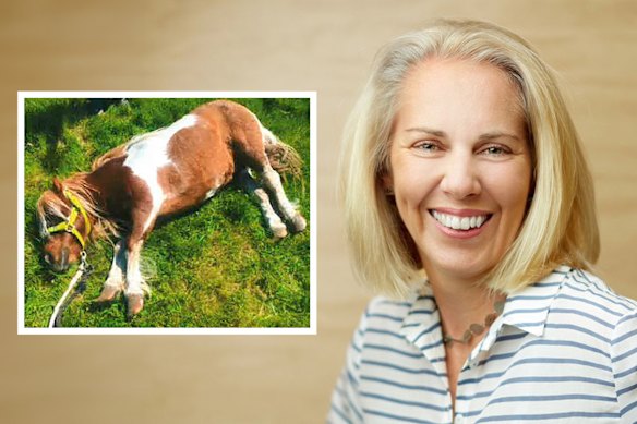 ‘Ethical farmer’ charged with animal cruelty loses bid to keep name hidden