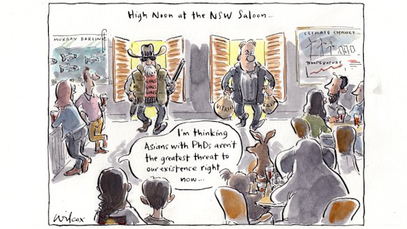 Illustration: Cathy Wilcox