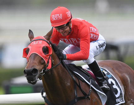 Red alert: Redzel  will have a race named in his honour as the Everest carnival extends in scale to Newcastle and Wollongong.