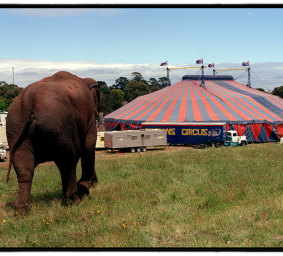 Abu, who had been with Ashton’s for 50 years,  pictured in April 1999.