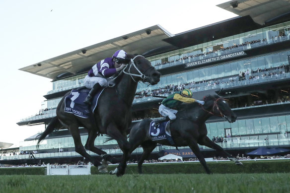 Ceolwulf on outside is narrowly beaten by Riff Rocket in last week’s Australian Derby.