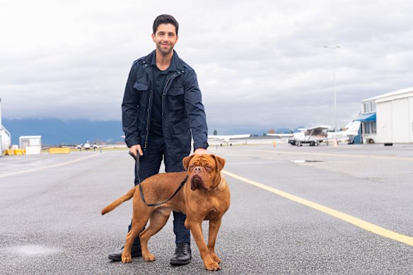 Josh Peck in Turner & Hooch.