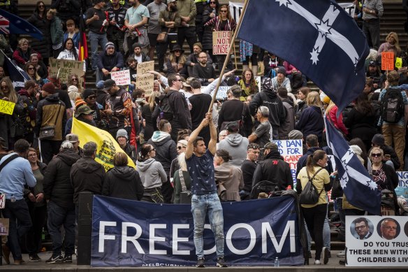 Protesters opposed to the pandemic legislation occupy the steps of Victorian parliament in November.