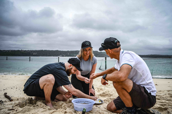 Earthwatch Institute chief scientist Scott Wilson (right) with volunteers Alex Swanson and Francesco Faustino search for microplastics on Shark Beach in Vaucluse.