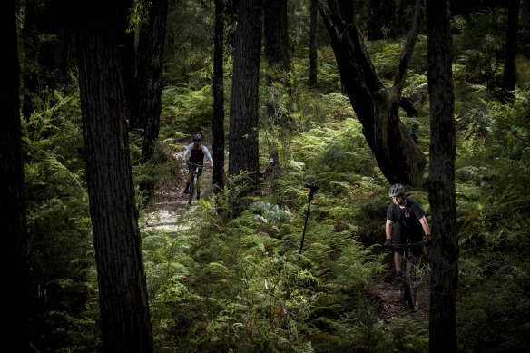 Joel Warham, right, reckons it’s a “huge project to try and do in one hit”.