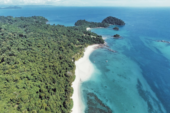 For almost a century, Coiba’s wilderness has been left to thrive unfettered.