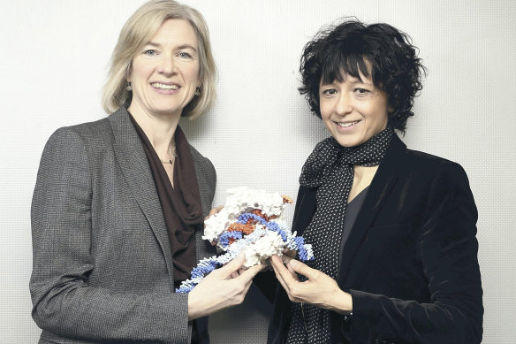 Professors Jennifer Doudna (left) and Emmanuelle Charpentier with a model of CRISPR-Cas9. The pair won the Nobel Prize for Chemistry for their contribution to its development.