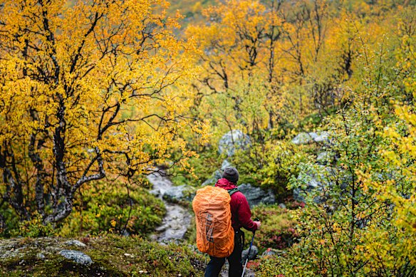 In Sweden, the right to enjoy nature is enshrined in law.