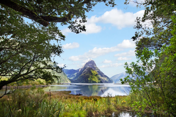 Mitre Peak in Milford Sound.