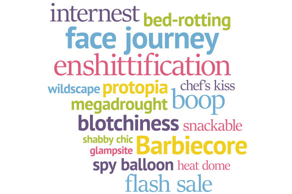 Over 700 new words have been added to the Oxford Dictionary this year so far. Yes, including enshittification.