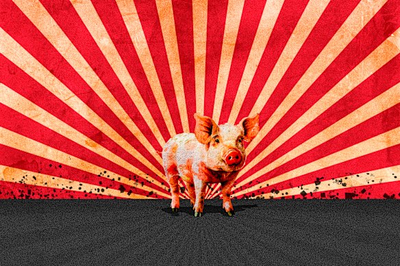 It’s 80 years ago this week since Animal Farm was published.