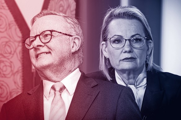 It’s good news for Anthony Albanese and not so good for Sussan Ley in the first post-election Resolve poll.