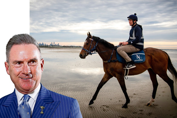 Popular racehorse Zaaki is featured alongside one of its owners Neil Wilson.