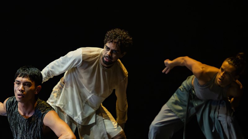 Dance performances draw mixed reviews from major outlets