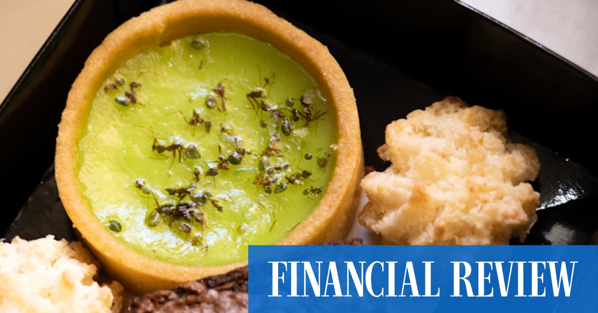 Uluru's new Wintjiri Wiru light and laser show includes tasty treats such as lemon and myrtle crocodile curry pie - Vimarsana News