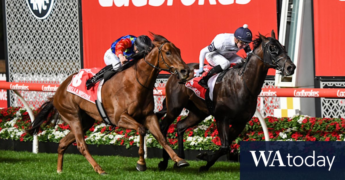 Is curriculum vitae italicized image