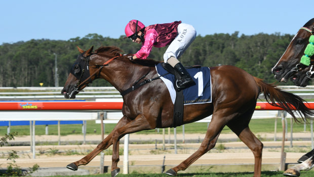 Race-by-race preview and tips for Wyong on Thursday