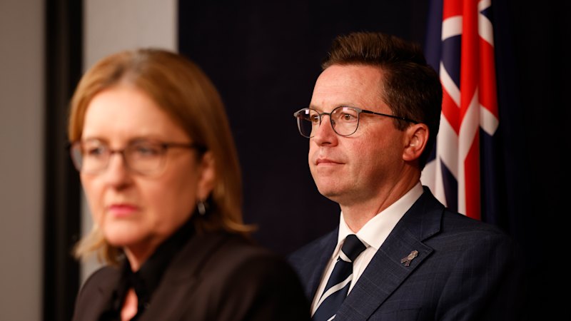 ‘Florid ramblings’: Ministers launch extraordinary attack on corruption-busting barrister