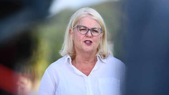 Former opposition home affairs spokeswoman Karen Andrews on the Gold Coast.