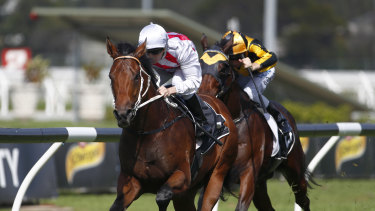 Explosive: Graff races away to win on debut at Rosehill.