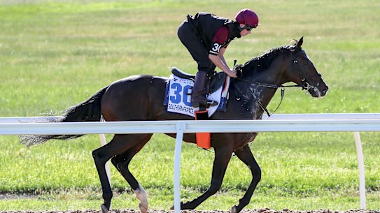 Southern France has drawn barrier 14 for Tuesday's Melbourne Cup. 