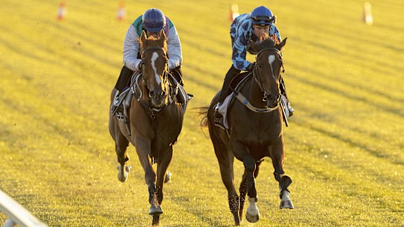 Finche on the outside of Youngster in a Melbourne Cup hit-out at Flemington last Tuesday.