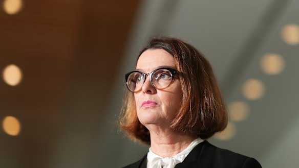 Minister for Families and Social Services Anne Ruston says the government has guaranteed funding to the social sector.