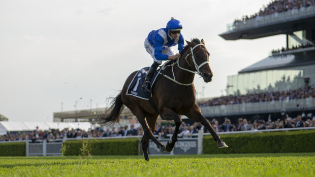 Hugh Bowman likens the end of Winx's career to playing a grand final every fortnight.