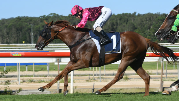NSW Racing eyes turn to Wyong on Thursday.