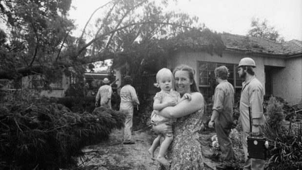 Mrs Anne Wild and her 17-month-old daughter Heather, escaped injury when this pine tree crashed through the roof of their house at the height of the storm.