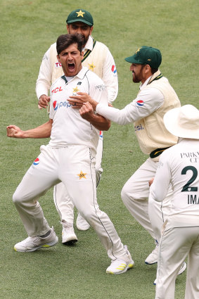 Steamrolled: Pakistan’s Mir Hamza celebrates the Travis Head wicket.