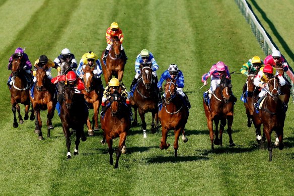 Racing.com will be the sole free-to-air source of Victorian racing from Saturday.