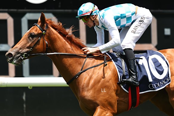 By Choice winning on debut at Randwick on December 27.