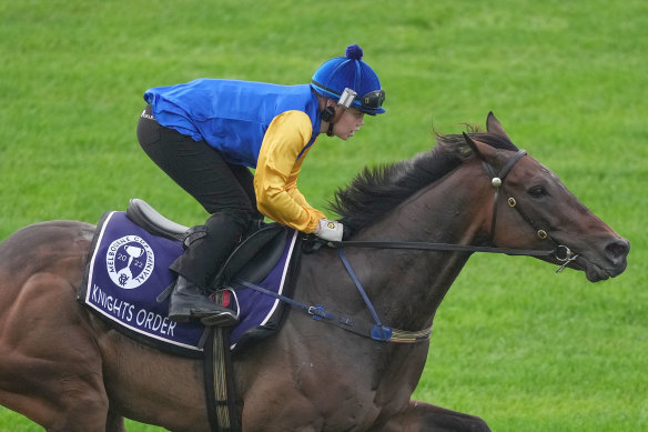 Knights Order pictured during track work at Flemington this week.