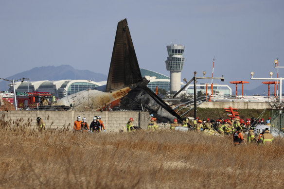 The plane was a Boeing 737-800.