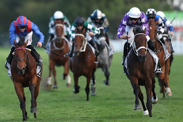 James McDonald-ridden Aeliana, right, drives to victory over Dubai Honour on Saturday in the Tancred Stakes. 