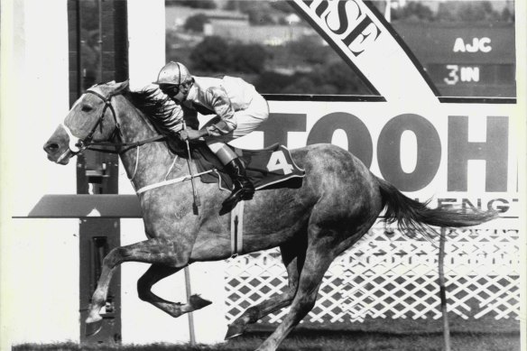 Emancipation, pictured here winning the All Aged Stakes in 1984, was a Les Young purchase.
