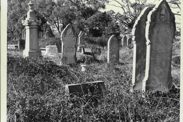 Parramatta’s Mays Hill Cemetery in 1979.