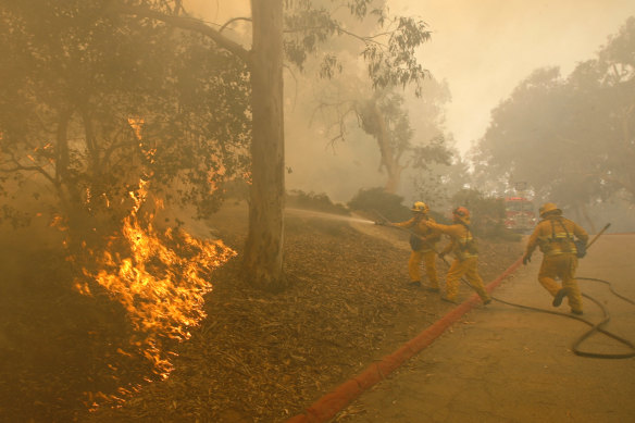 Los Angeles City firefighters fighting a brush fire under Eucalyptus trees in 2007.