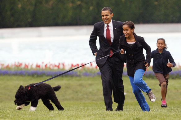 Malia Obama runs with Bo, followed by President Barack Obama and Sasha Obama, on the South Lawn of the White House in Washington in 2009. Bo has died after a battle with cancer, the Obamas said on social media. 