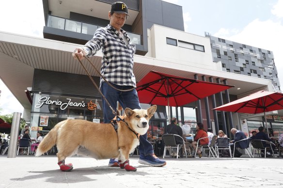 A man walks his dog past Gloria Jean’s in Springvale. 
