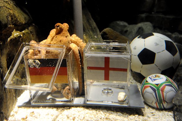Paul the octopus predicted a German win over England at the 2010 FIFA World Cup.