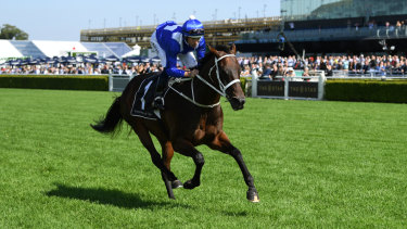 One to go: Winx will line up in race seven on the second day of The Championships.